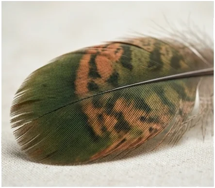 El valor natural del sur tucumano